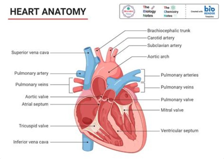 Discoveries And Insights For The Heart And Soul