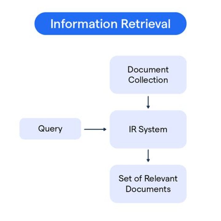 Unlocking The Secrets Of Information Retrieval: Discoveries From Cristina Cacciotti